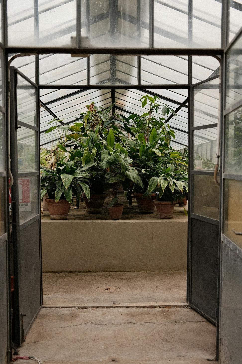 Winter garden interior