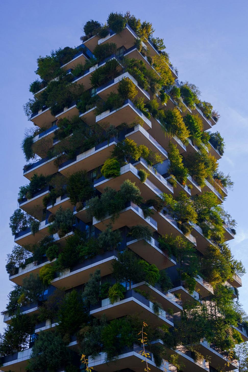 Eco-friendly Materials