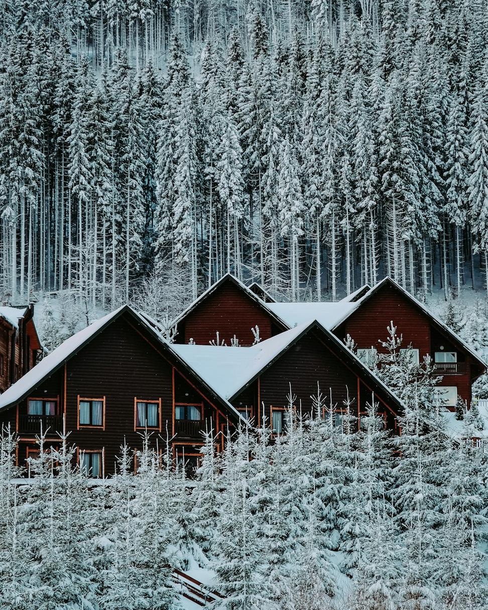 Squamish Valley Cabin