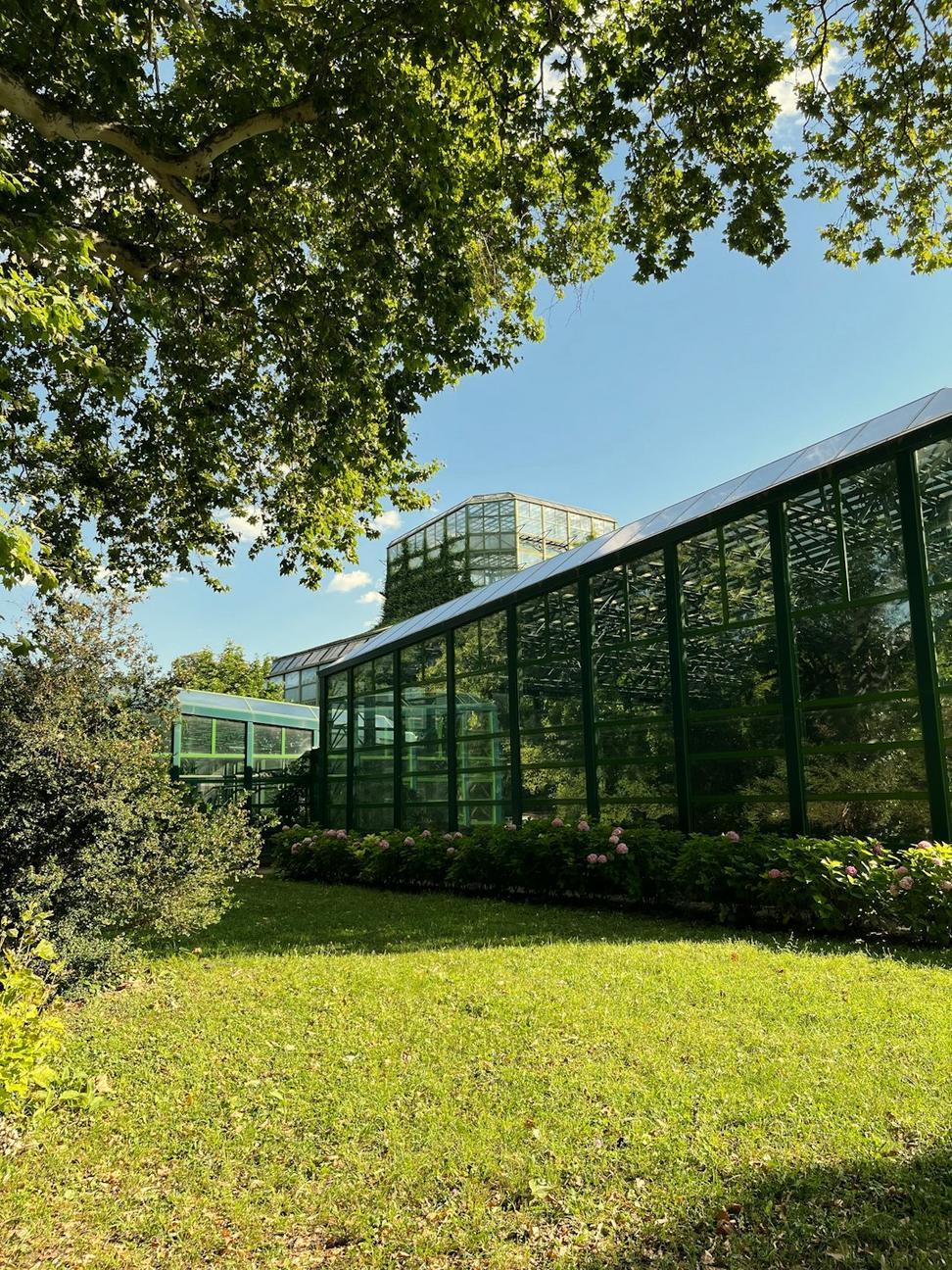 Winter greenhouse in snow