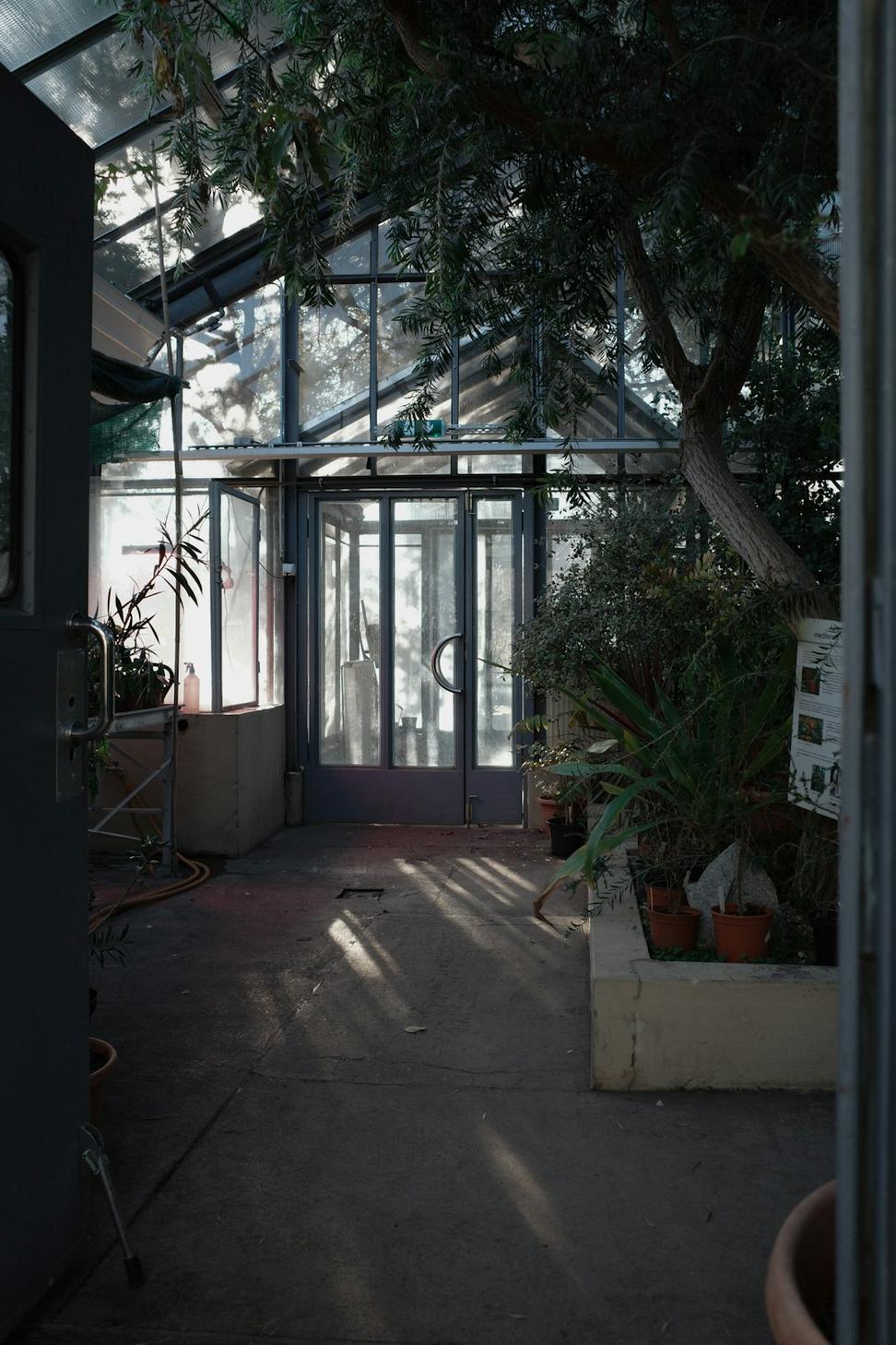 North Vancouver greenhouse before renovation