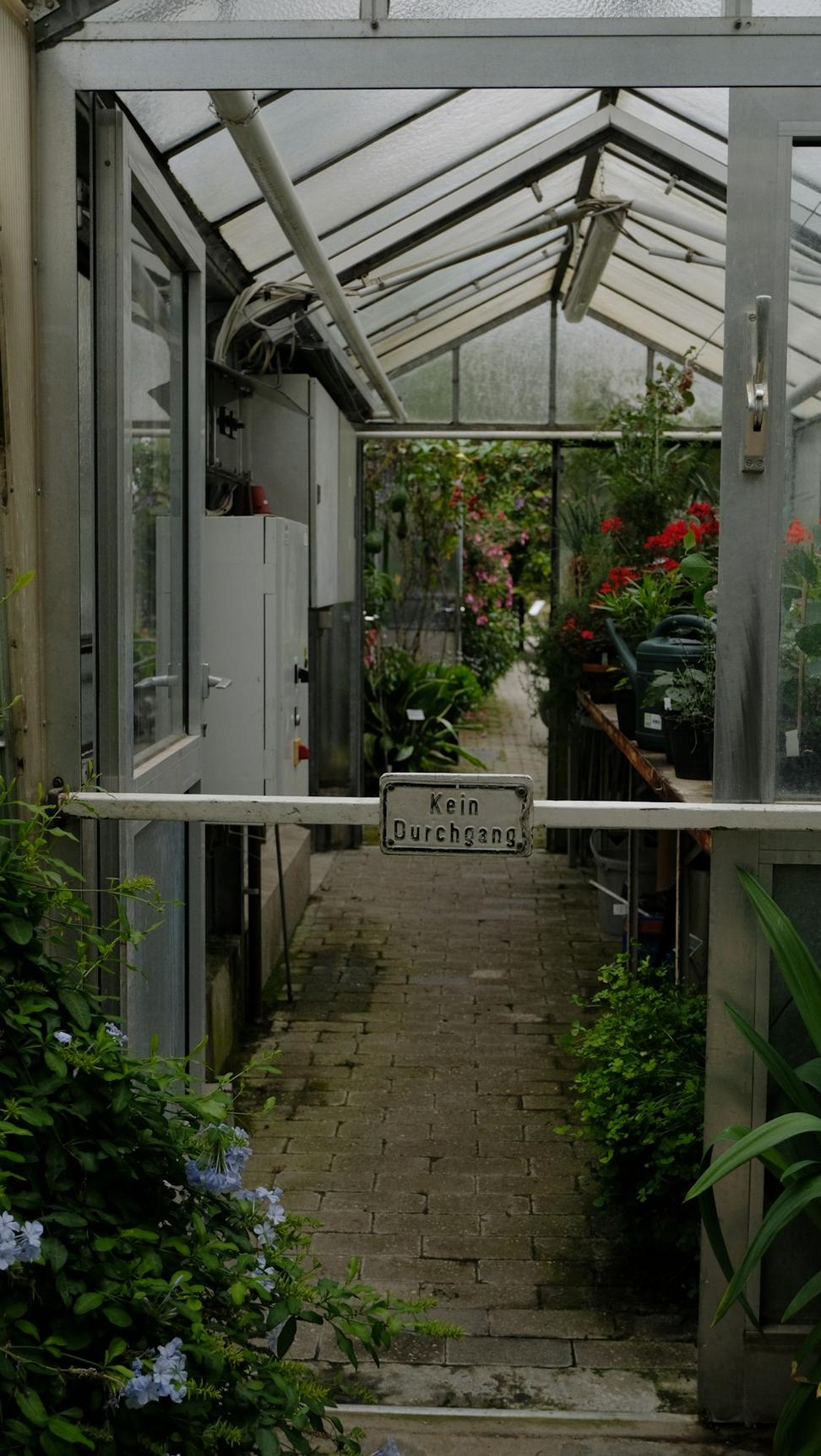 Standalone greenhouse in garden