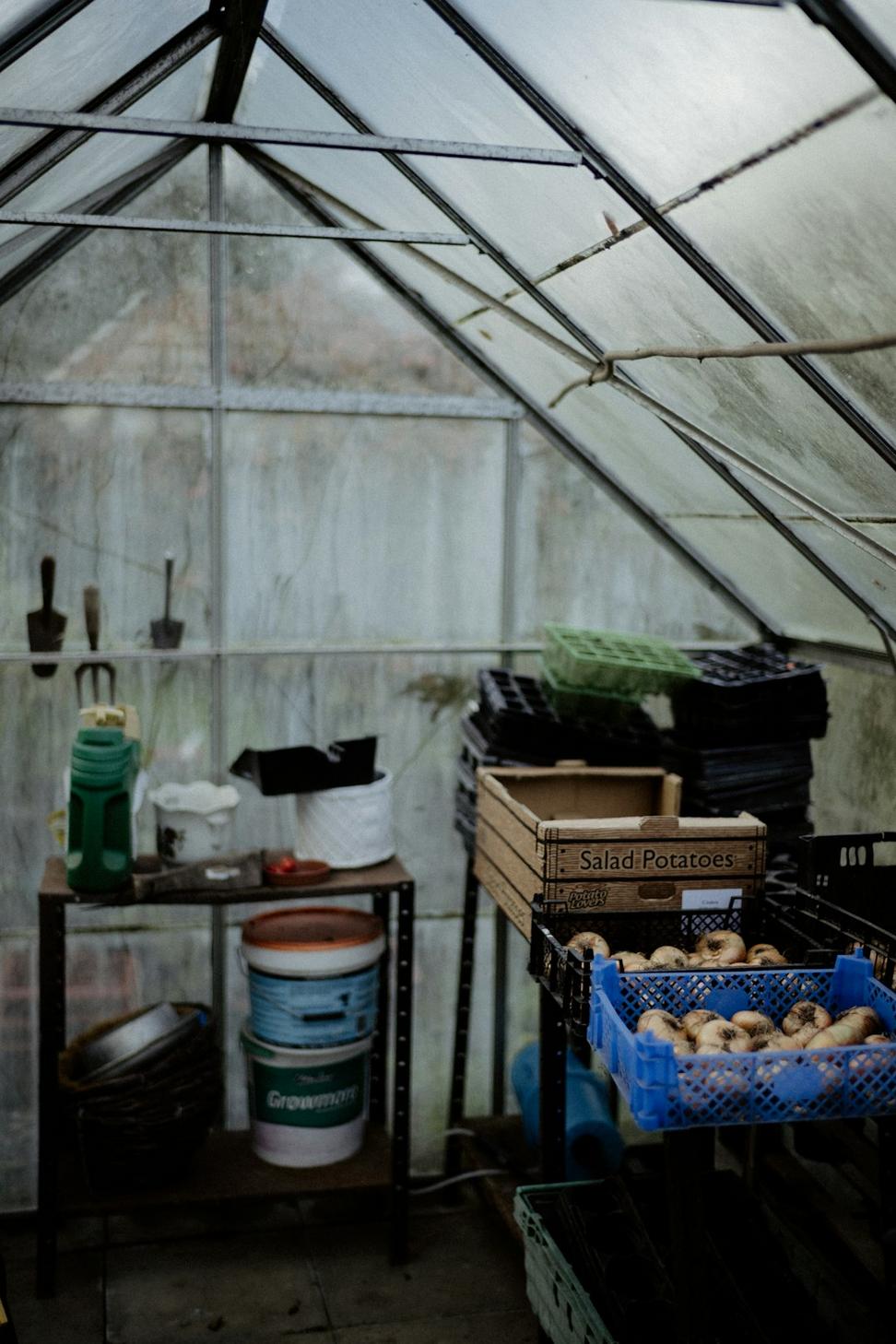 Urban Backyard Greenhouse