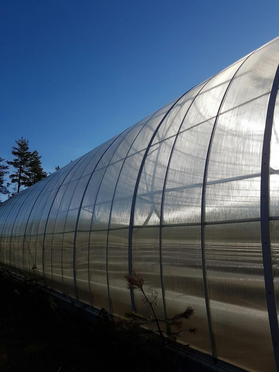 Greenhouse project