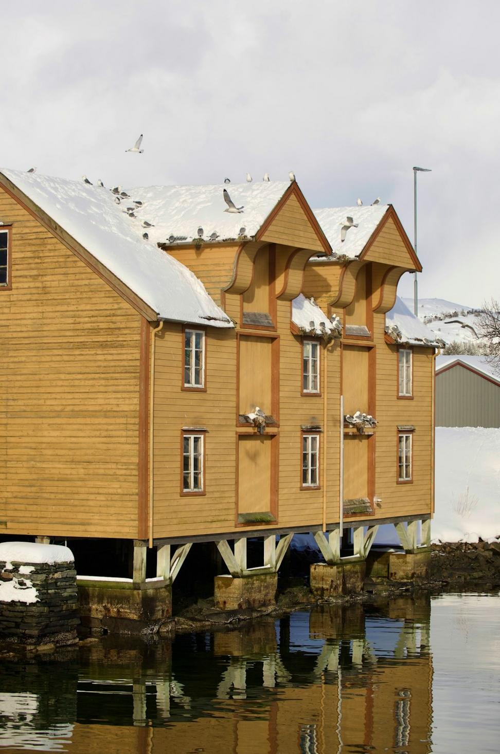 Sustainable Nordic Architecture