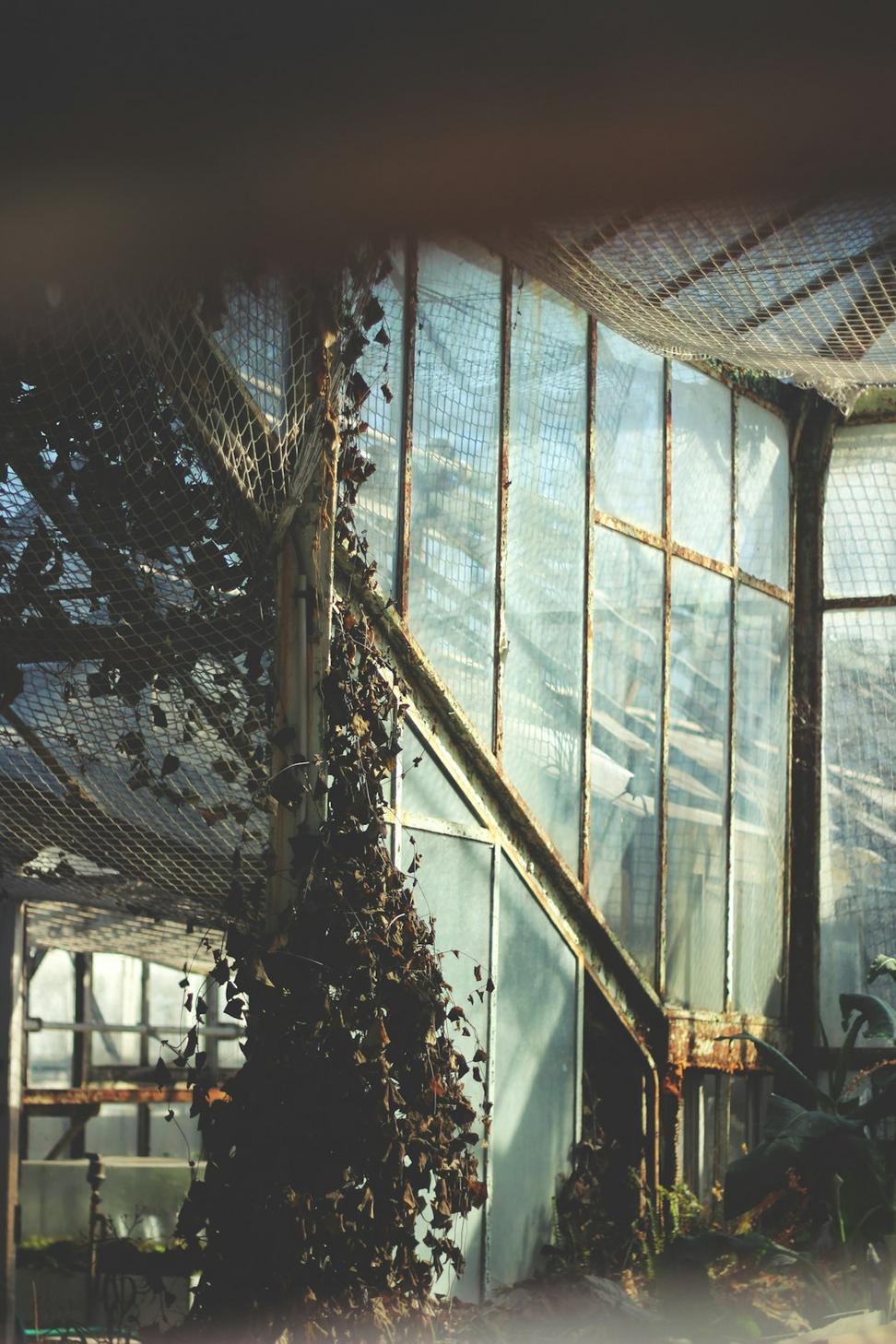Winter Garden Interior