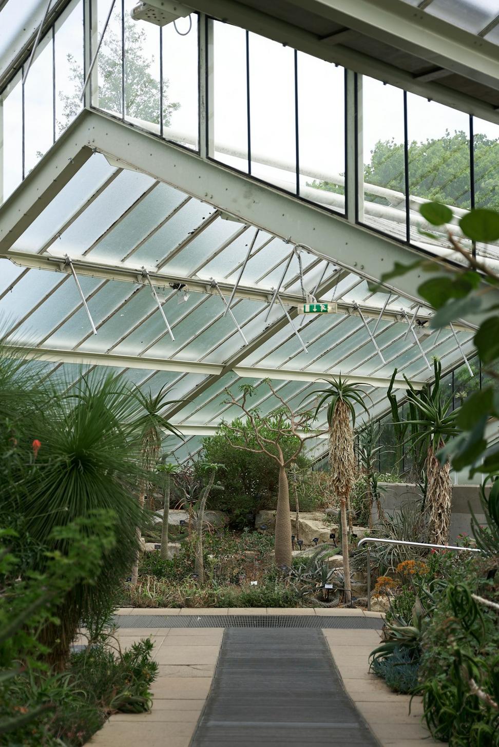 Shaughnessy Winter Garden